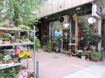 Flores Alcalá