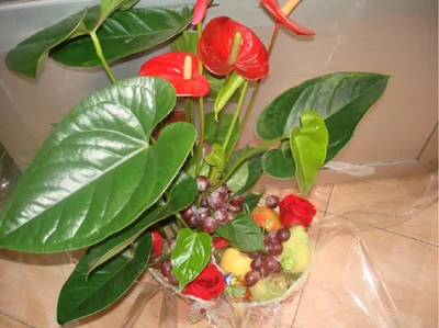 Cesta de Anthurium, Rosas y Frutas