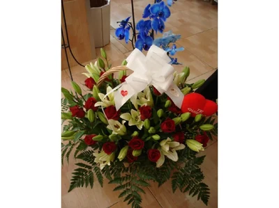 Centros de Plantas y Flores