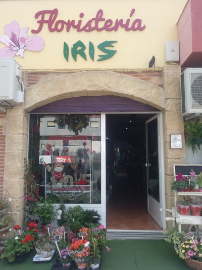 Floristería Iris