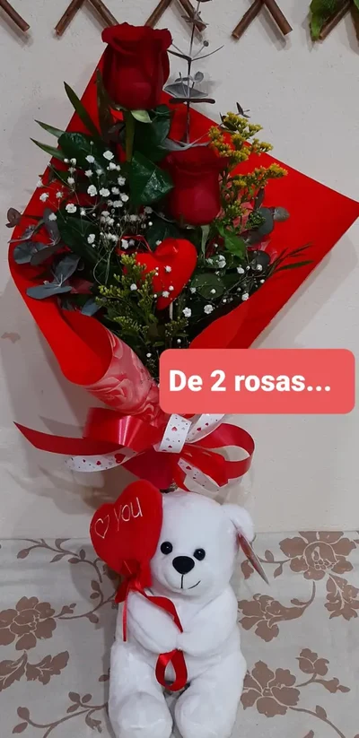 Ramo de 2 Rosas Rojas + Peluche