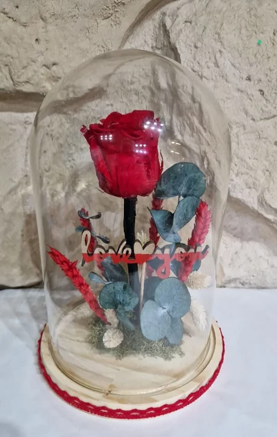 Rosas en Cúpula
