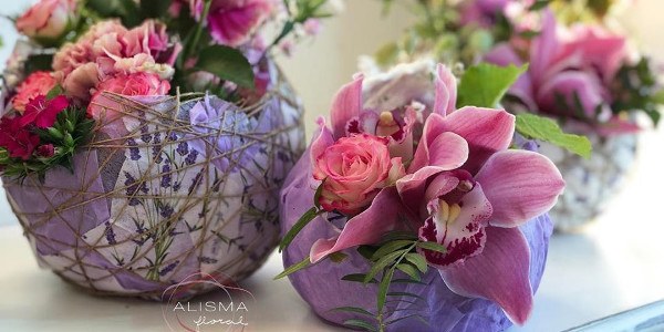 Alisma Floral
