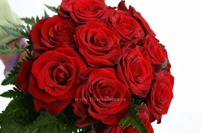 Bouquet de Rosas Rojas