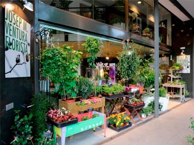 Josep Ma Ventura Florista
