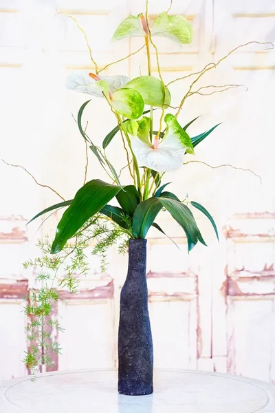 Flor Lineales