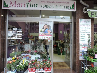 Flores y Plantas Mariflor