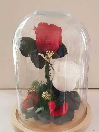 2 Rosas Eternas en Cúpula de Cristal
