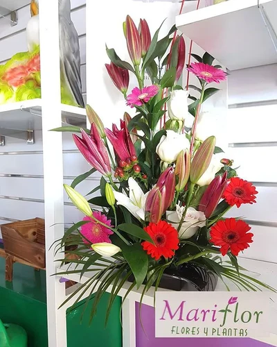 Centros de Flores