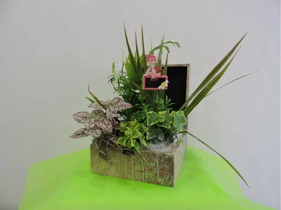 Centro de Plantas en Caja Vintage