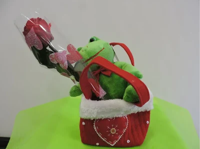 Peluches Y Flores