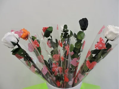 Rosa Eterna