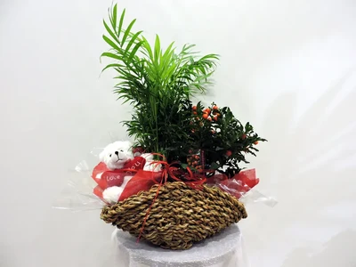 Cesta de Plantas