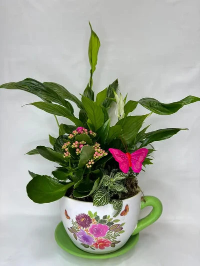 Tazón de Plantas