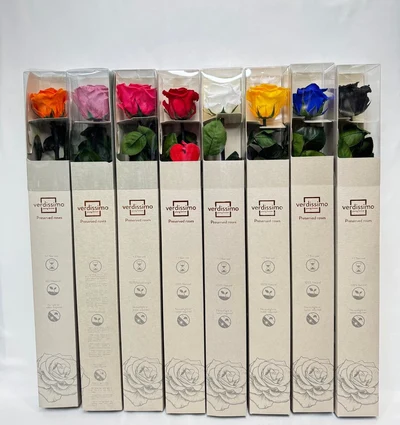 Rosa Preservada larga