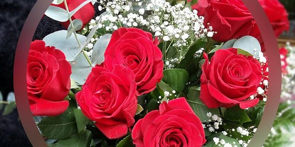 Floristería Avi-Flor
