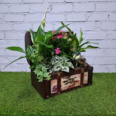 Baúl con Plantas