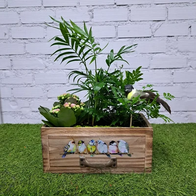 Cajón Pequeño de Plantas
