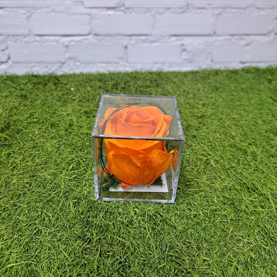 Rosa en Metacrilato Naranja