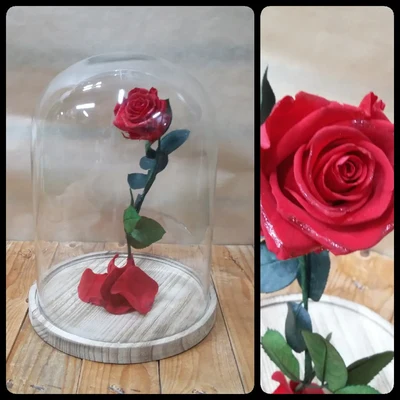 Cúpula Rosa "La Bella y la Bestia"