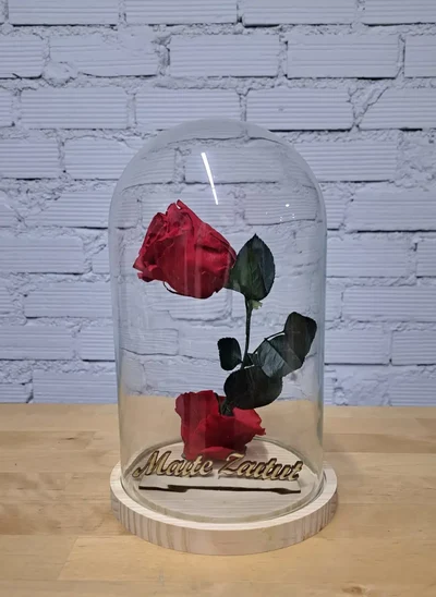 Flor Preservada