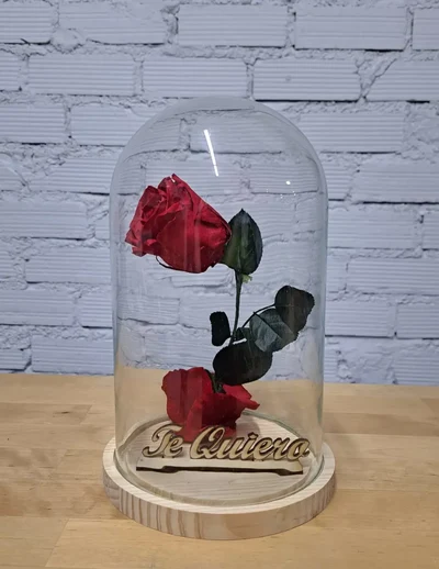 Cúpula Rosa Te Quiero "La Bella y la Bestia"