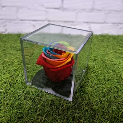 Rosa en Metacrilato Arcoiris