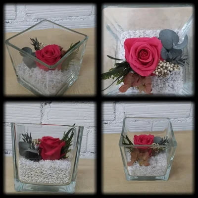 Rosa Preservada en Cristal