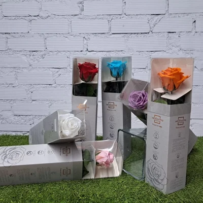 Rosa Preservada Mini