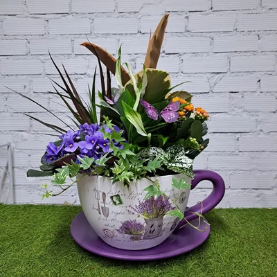 Taza Grande de Plantas