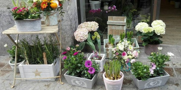 Retama Flores