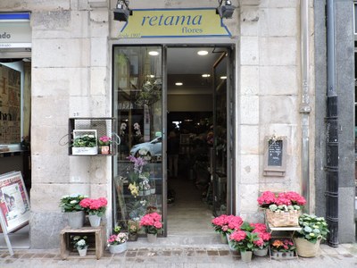 Retama Flores