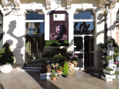 Castilla Floristería