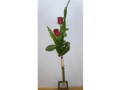 Detalle 2 Rosas Rojas