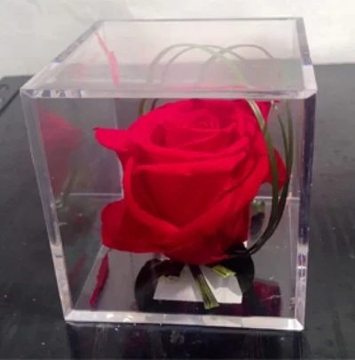 Rosa Roja Eterna