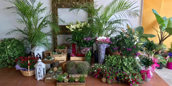 Origen Arte Floral