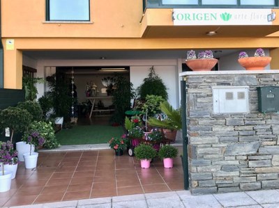 Origen Arte Floral