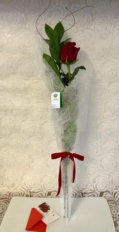 Una Rosa Roja preparada para regalo