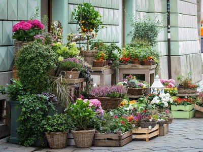Floristería Apanymantel Ceuta