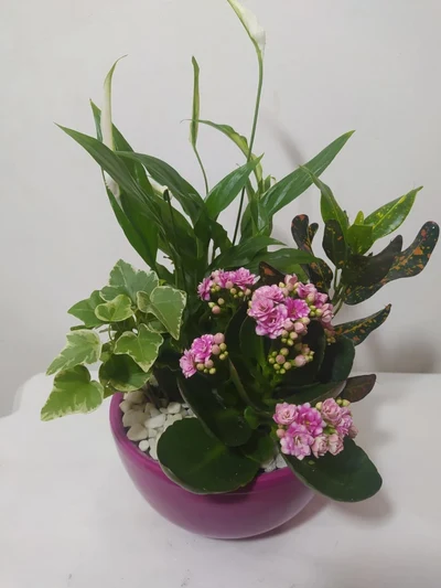 Centro Cerámica con 4 Plantas