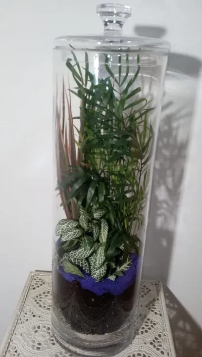 Centro Climax 50cm de alto
