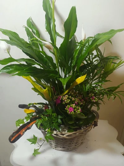 Centro de Mimbre con Plantas de Temporada