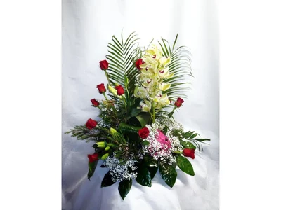 Arrosa eta cymbidium orkidea lore-zentroa