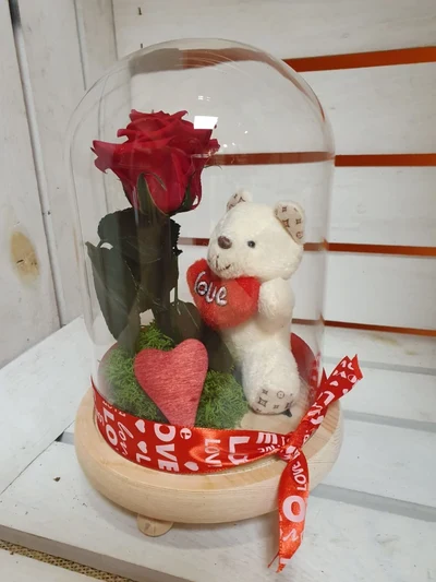 Cúpula Rosa Eterna con peluche
