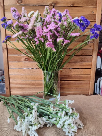 Estatice (flor de papel)