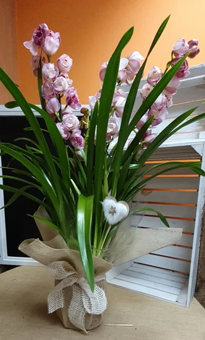 Orquidea Cymbidium Decorada