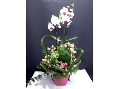 Orquidea decorada con flores naturales
