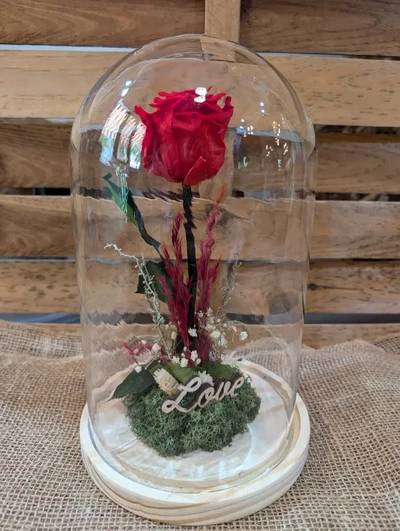 Rosa Eterna en cúpula de Cristal