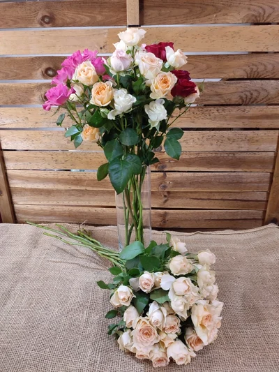 Rosas Ramificadas