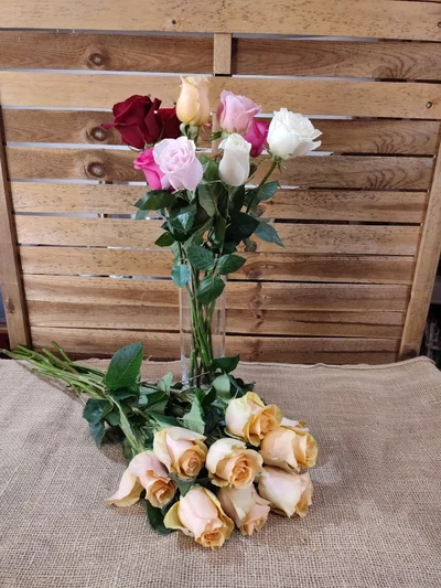 Rosas